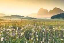 下载手游斗破九州破确版-沉浸体验，斗破九州破确版——手游新纪元